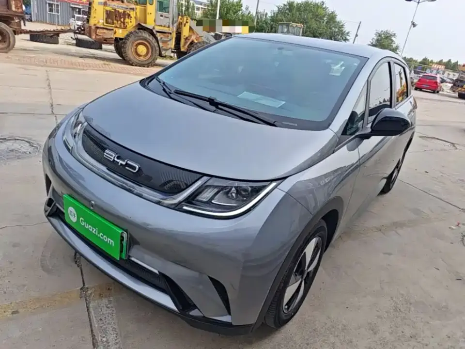 BYD Dolphin Glory Edition 420km Freedom Edition 2024