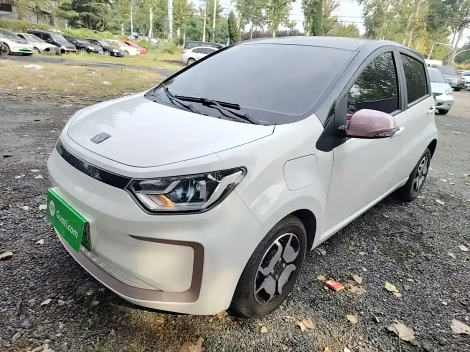 Sehol Flower Fairy 302km Luxury Edition 31.4kWh 2021
