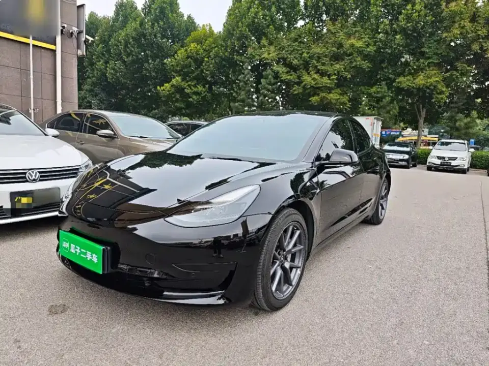 Tesla Model 3 Standard Range Rear-Wheel Drive Upgrade 2021