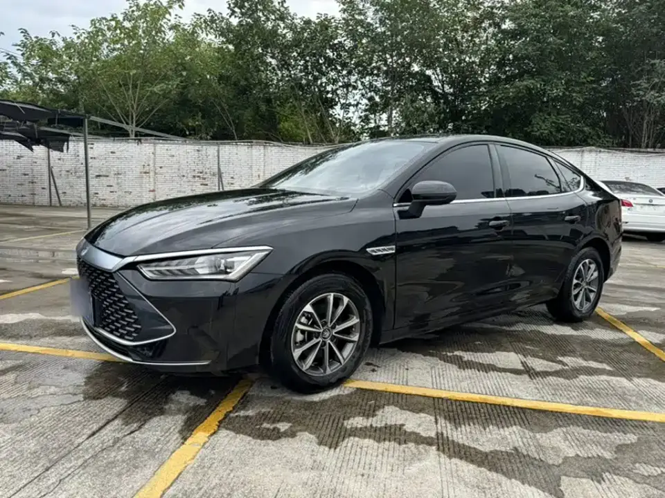 BYD Qin PLUS Glory Edition DM-i 55KM Leading 2024