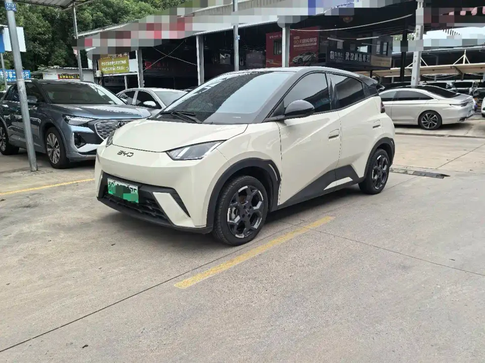BYD Seagull 305km Freedom 2024