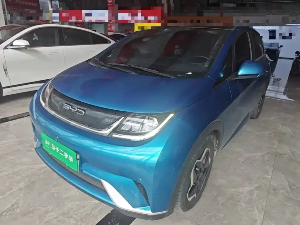 BYD Dolphin Model 405km Fashion Edition 2022