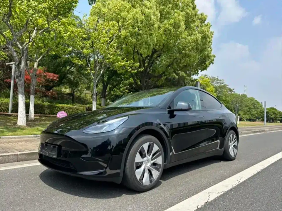Tesla Model Y Rear-Wheel Drive Version 2022