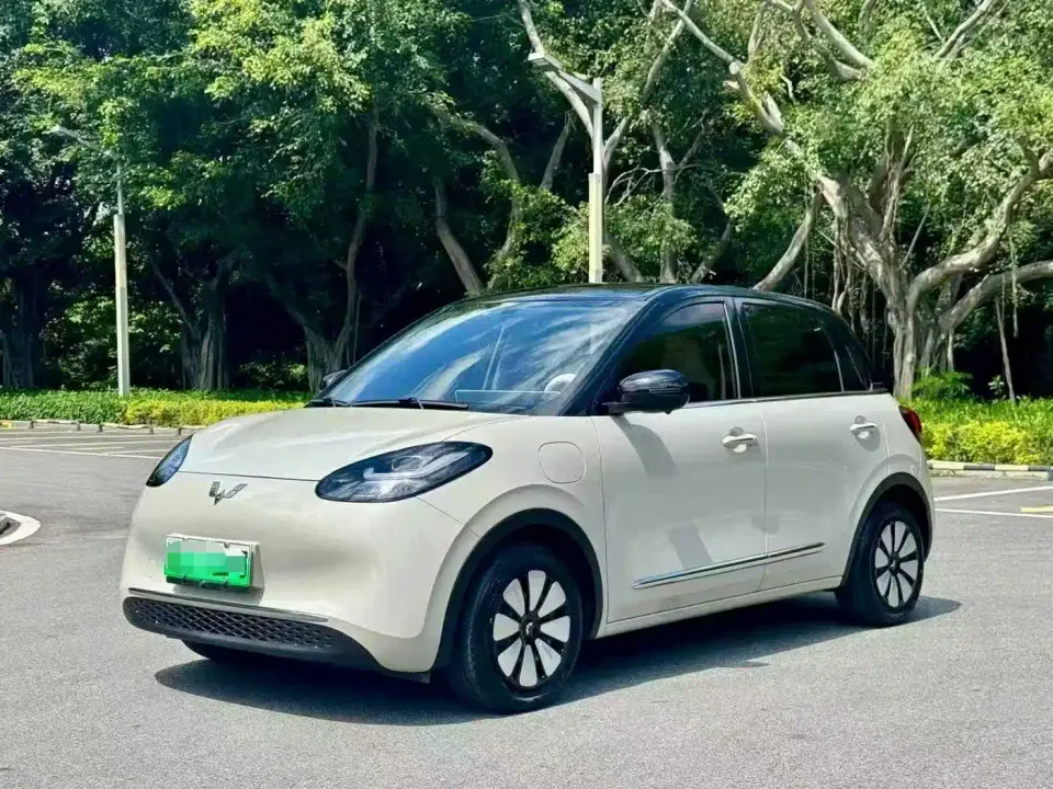 Wuling Motors Wuling Bingo 333km Smart Connect Edition 2024