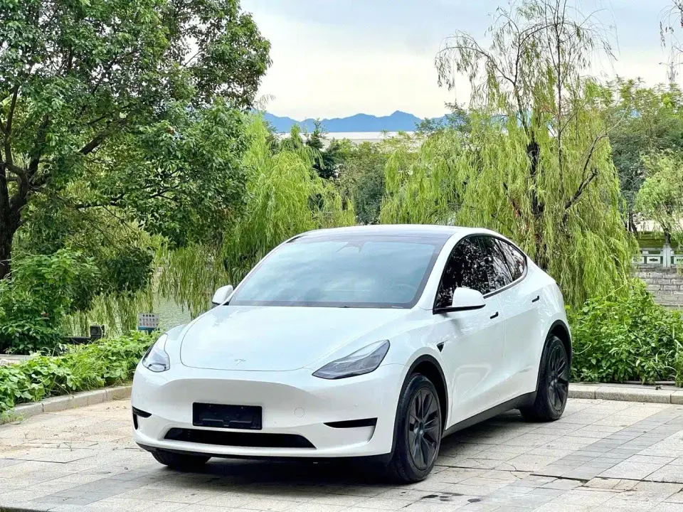 Tesla Model Y Rear-Wheel Drive Version 2024