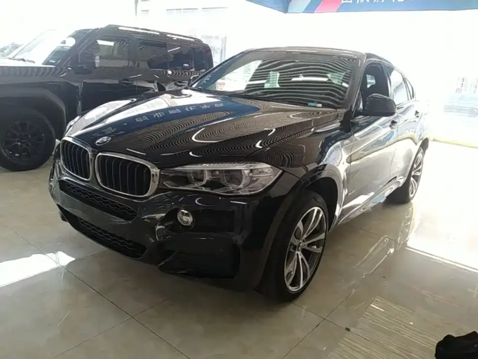BMW X6 xDrive28i M Sport Package 2019