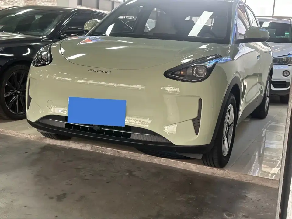 Geely Galaxy Starry Wish 310km Youth Edition 2025