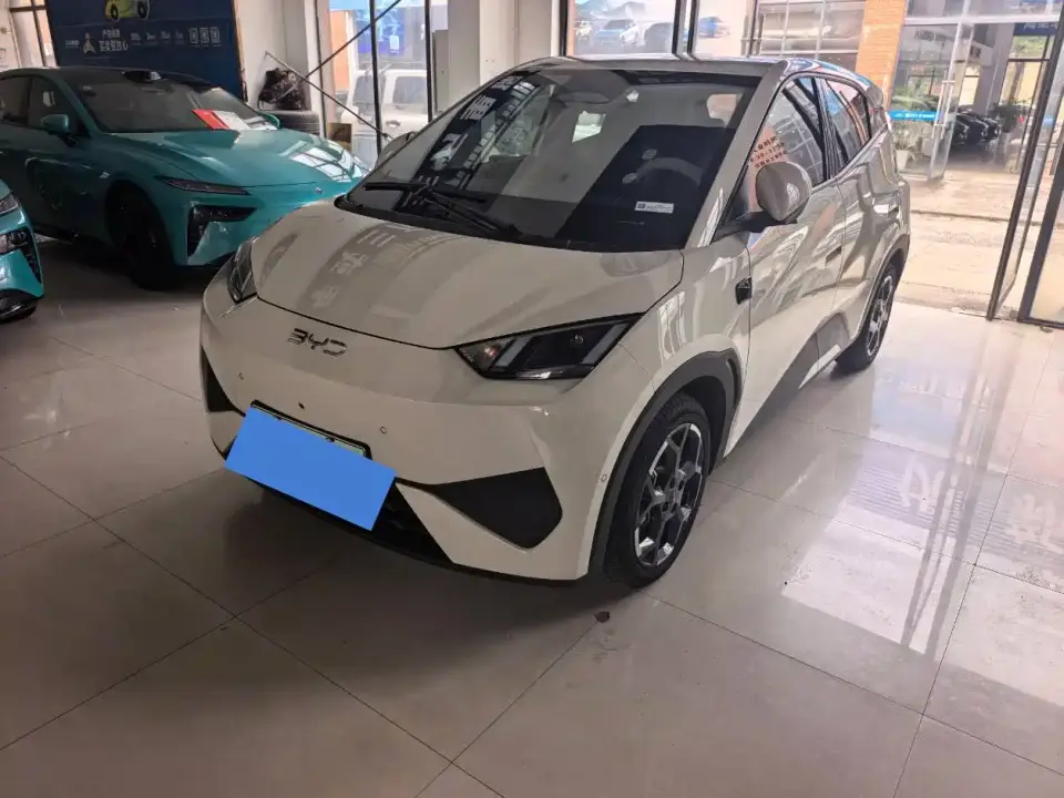 BYD Seagull 305km Freedom 2025