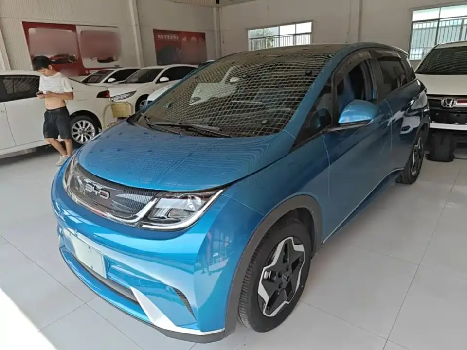 BYD Dolphin Model 405km Fashion Edition 2023