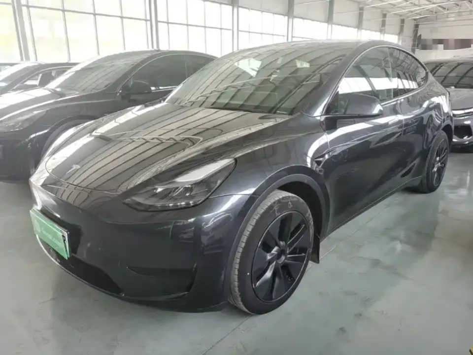 Tesla Model Y Rear-Wheel Drive Version 2024