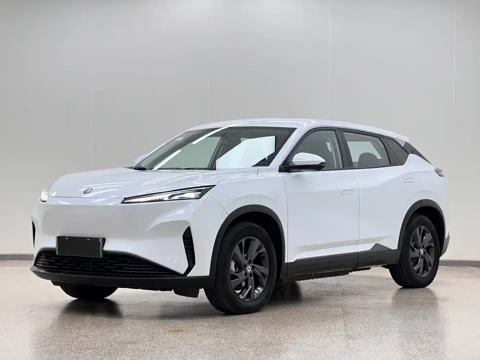 Dongfeng Aeolus SKY EV01 530km PRO Elite Executive Edition 2025