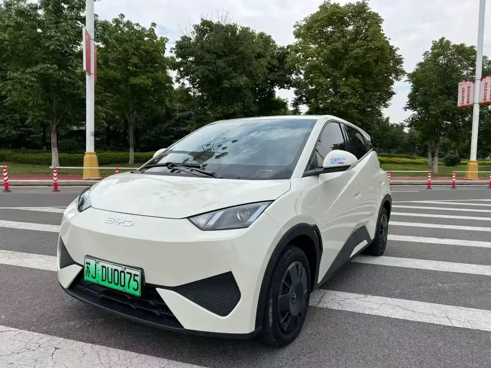 BYD Seagull Smart Drive Edition 305km Vitality Version 2025