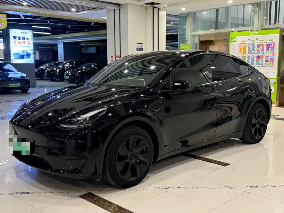 Tesla Model Y Rear-Wheel Drive Edition 2024