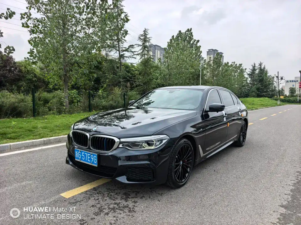 BMW 5 Series 530Li Leading M Sport Package 2020