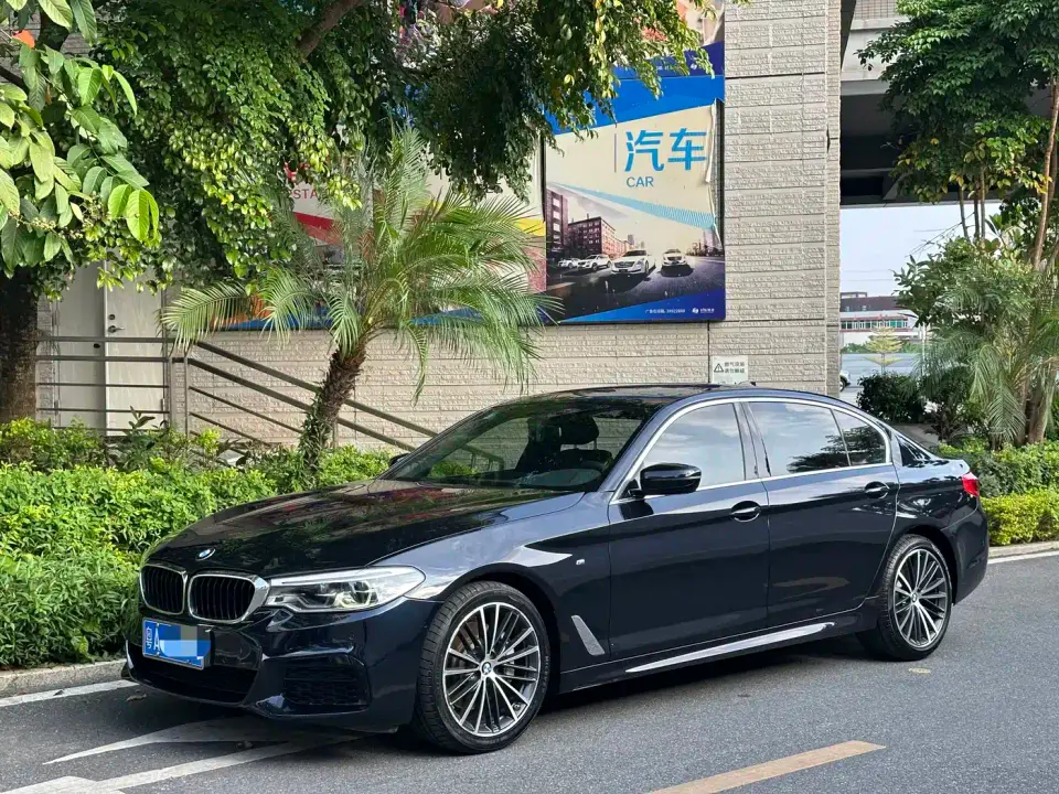 BMW 5 Series 530Li Leading M Sport Package 2020