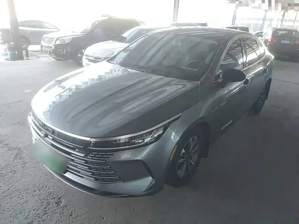 BYD Destroyer 05 Glory Edition DM-i 55KM Luxury 2024