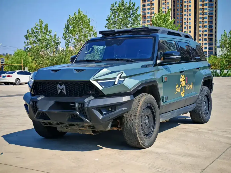 Mengshi 917 Extended Range Base Version 2024