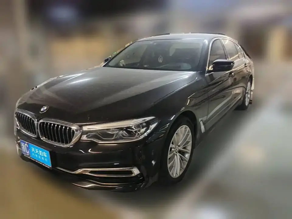 BMW 5 Series 530Li Premium Luxury Package 2020
