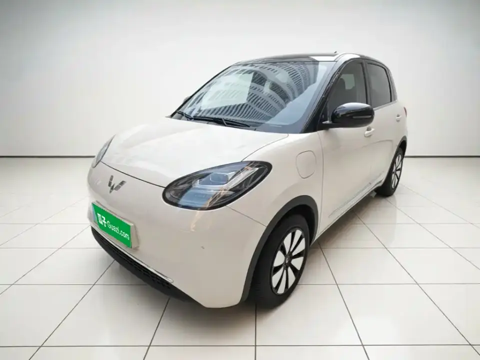 Wuling Motors Wuling Bingo 333km Comfort Edition 2024