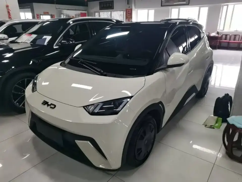 BYD Seagull Glory Edition 305km Freedom Edition 2024