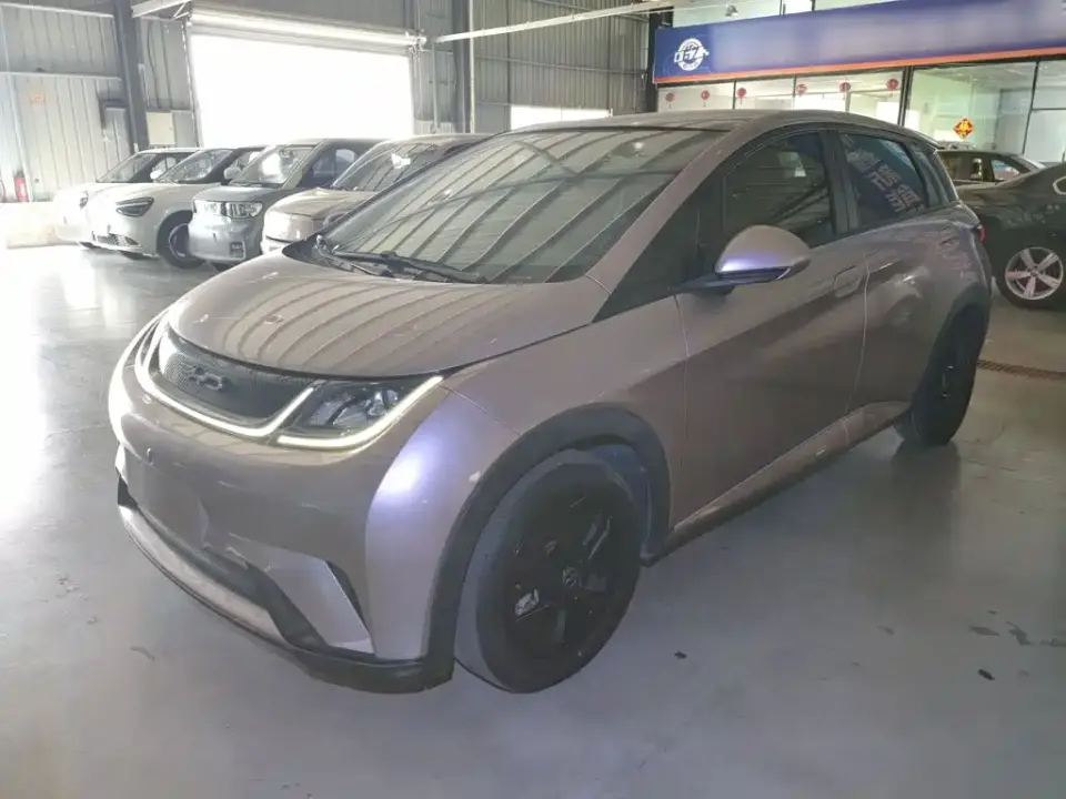 BYD Dolphin Model 405km Fashion Edition 2022
