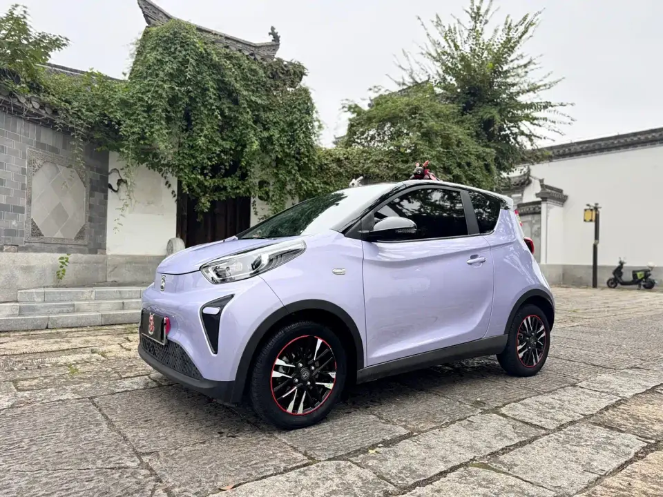 QQ New Energy Little Ant 321km Favorite Edition 2024