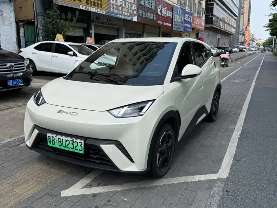 BYD Seagull Glory Edition 305km Freedom Edition 2024