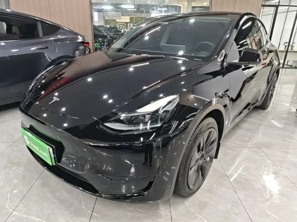 Tesla Model Y Rear-Wheel Drive Version 2022