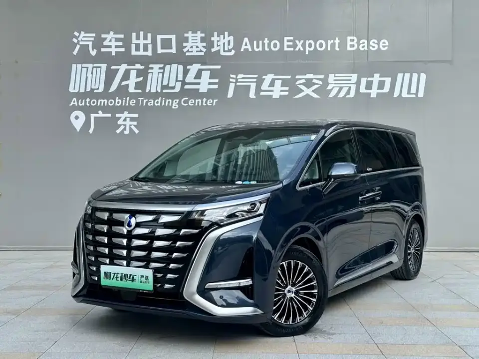 Denza D9 DM-i 980 AWD Prestige 2024