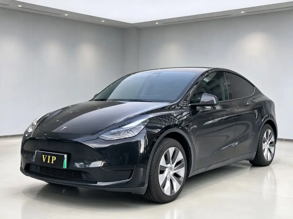 Tesla Model Y Rear-Wheel Drive Version 2022