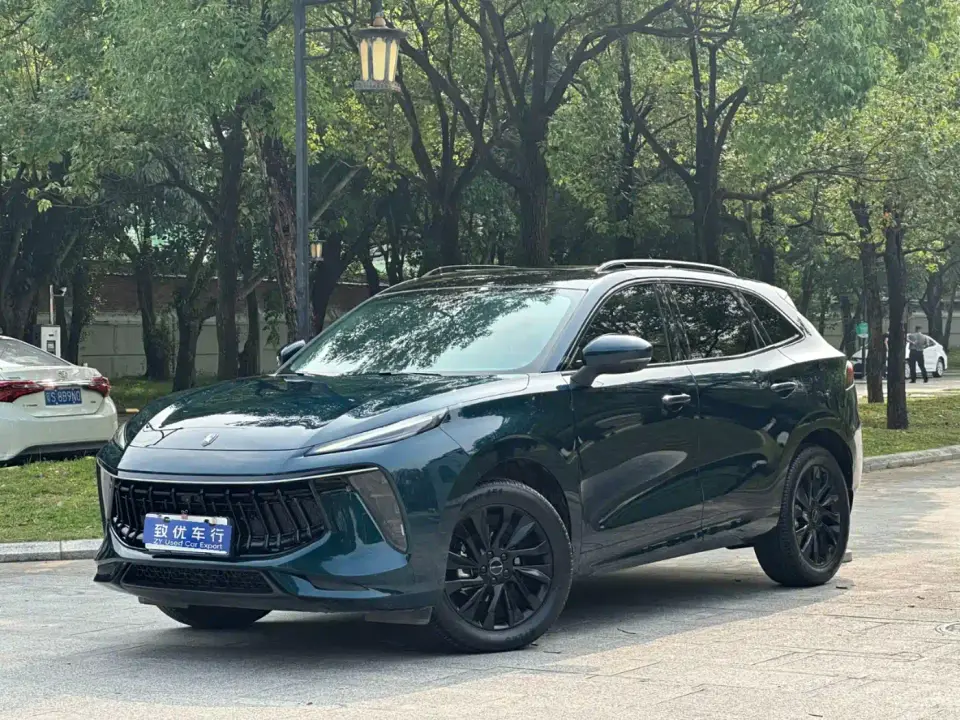 Dongfeng Fengxing Fengxing T5 EVO 1.5TD DCT Starlight Edition 2023