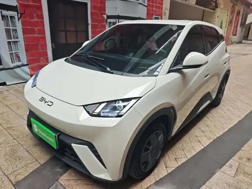 BYD Seagull 305km Vitality 2025