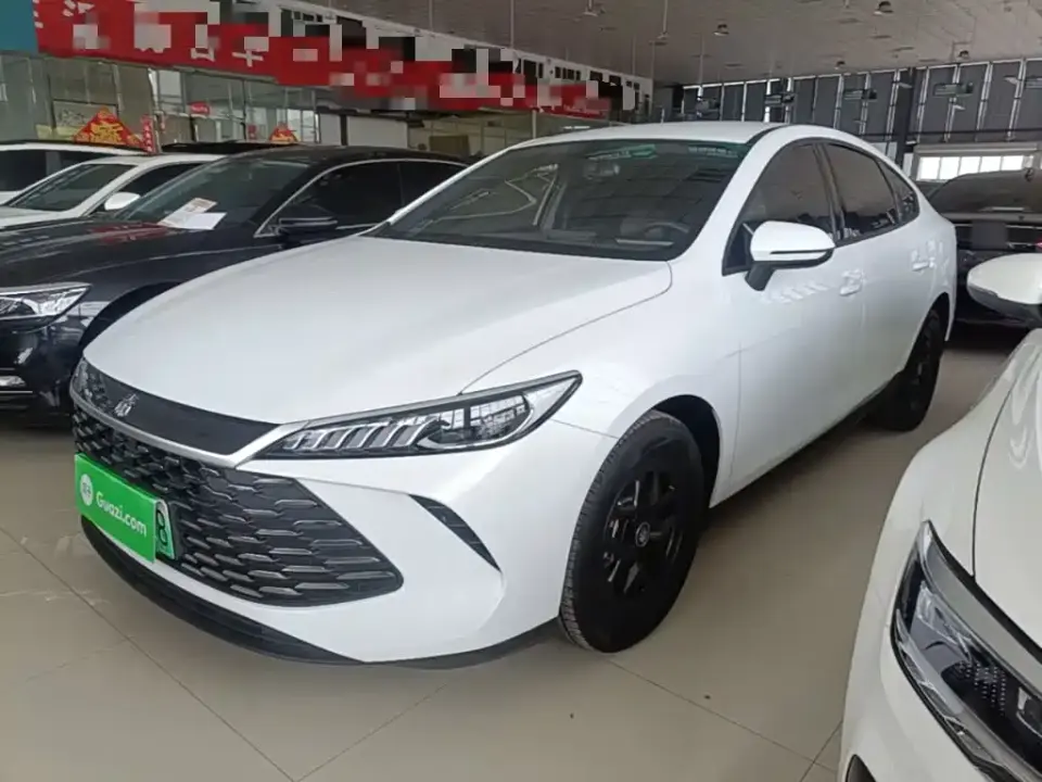 BYD Qin PLUS DM-i Smart Drive 55KM Leader 2025