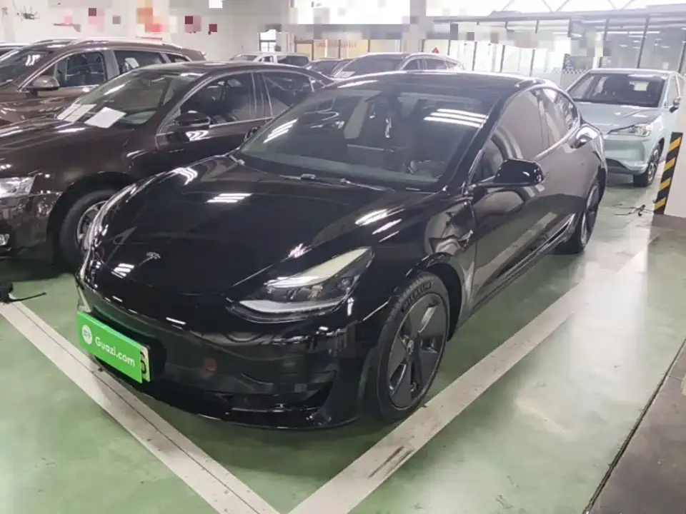 Tesla Model 3 Model Rear-Wheel Drive Version 2022