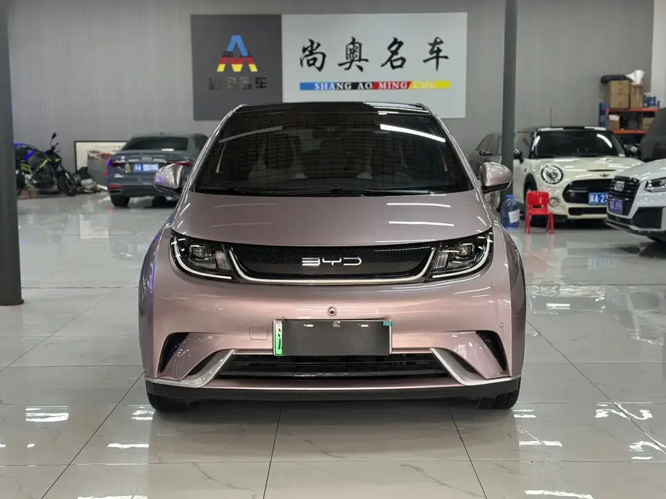 BYD Dolphin 420km Fashion Edition 2023