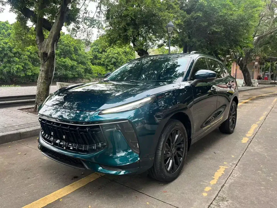 Dongfeng Fengxing Fengxing T5 EVO 1.5TD DCT Diamond Edition 2023