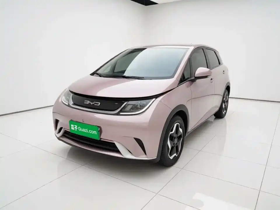 BYD Dolphin 405km Freedom Edition 2022