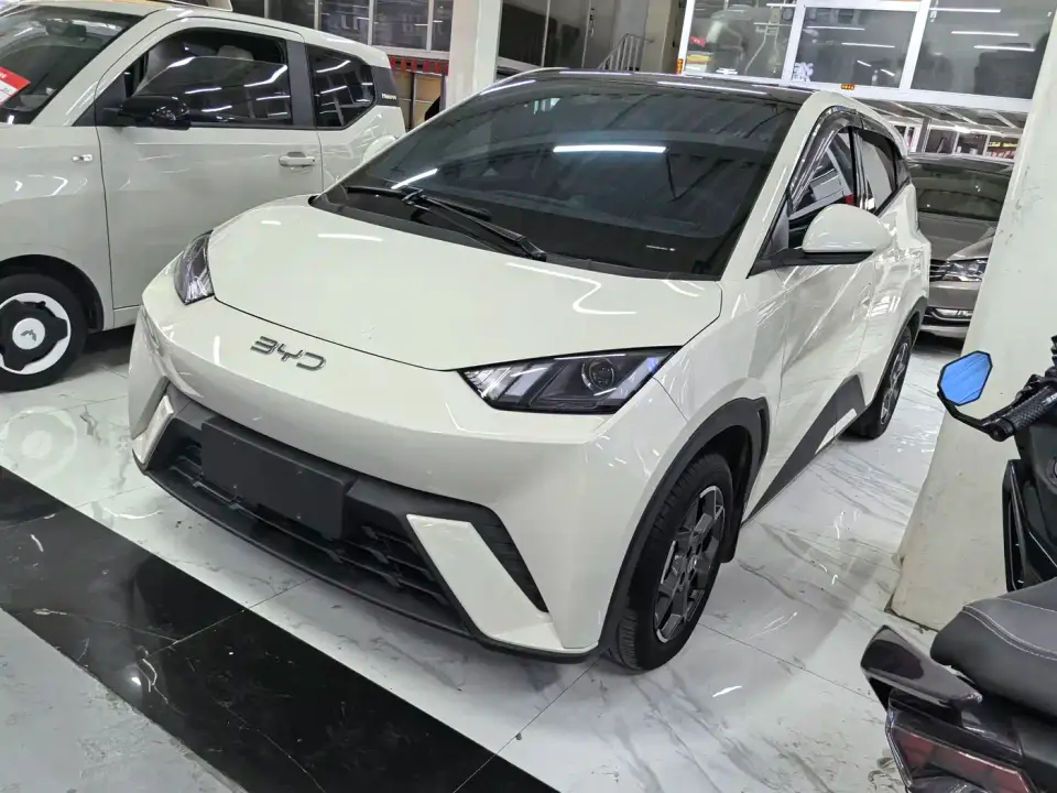 BYD Seagull Glory Edition 305km Vitality Edition 2024
