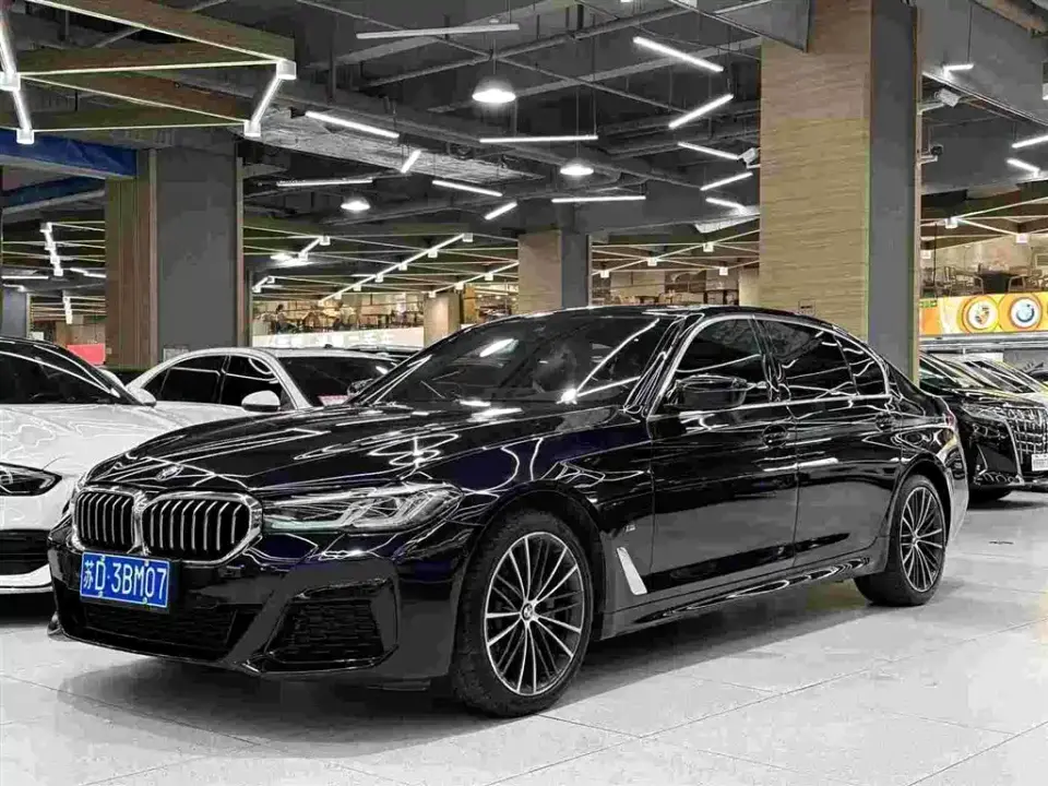 BMW 5 Series 530Li Leading M Sport Package 2020