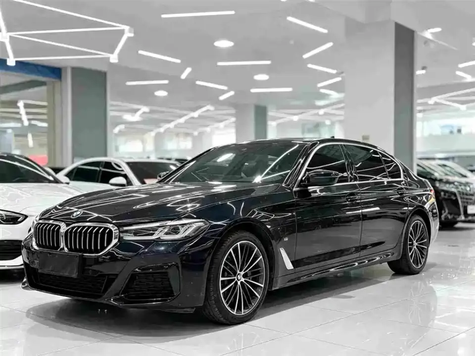 BMW 5 Series 530Li Leading M Sport Package 2020