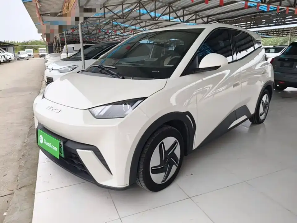 BYD Seagull Glory Edition 305km Vitality Edition 2024