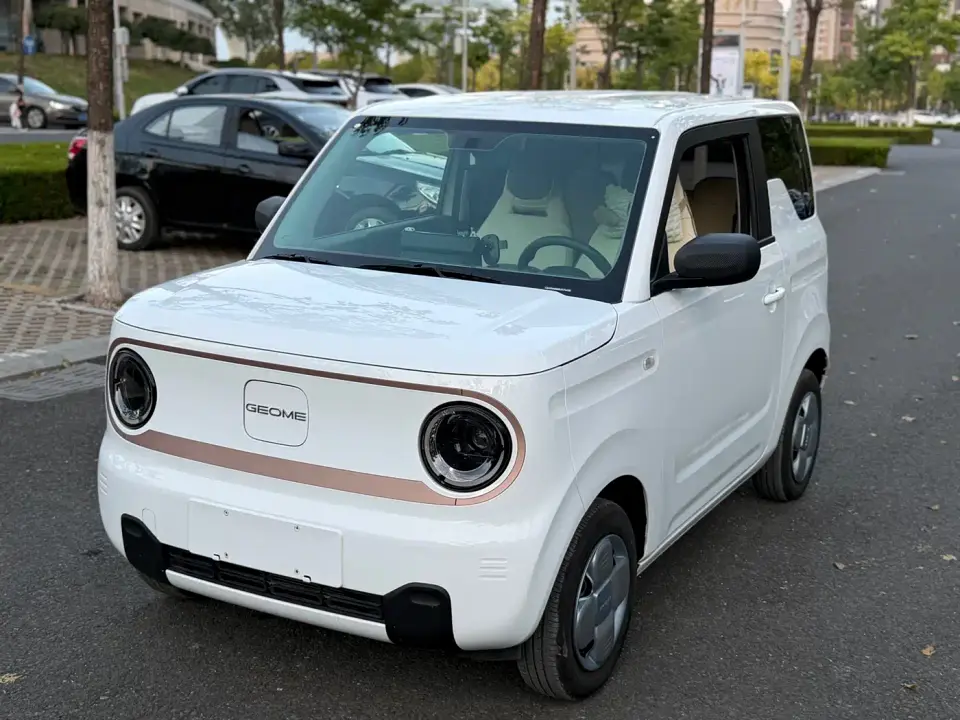 Geely Galaxy Panda 200km Panda Knight 2024