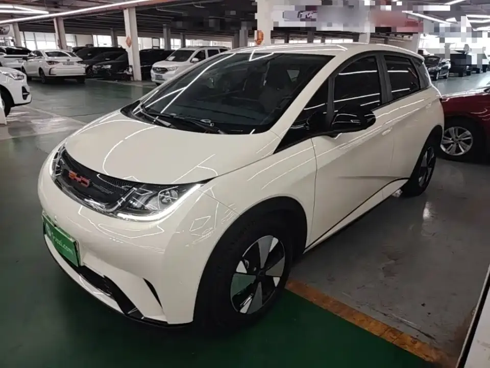 BYD Dolphin 420km Freedom Edition 2023