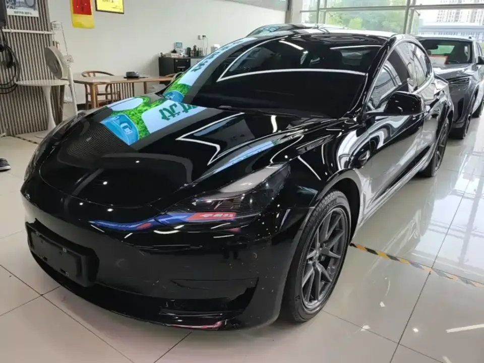 Tesla Model 3 Model Rear-Wheel Drive Version 2022