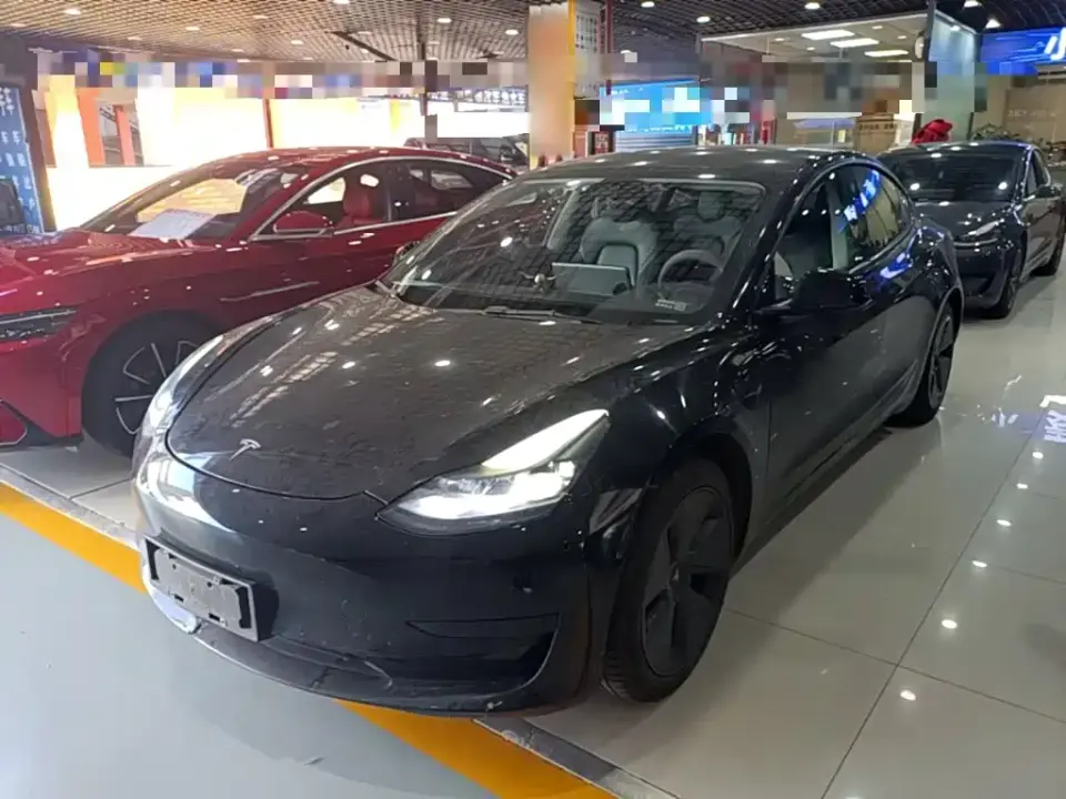 Tesla Model 3 Standard Range Rear-Wheel Drive Upgrade 3D6 2021