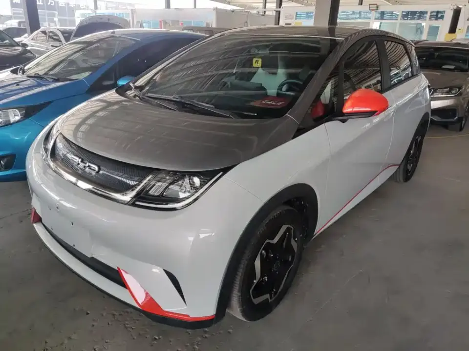 BYD Dolphin 405km Freedom Edition 2022