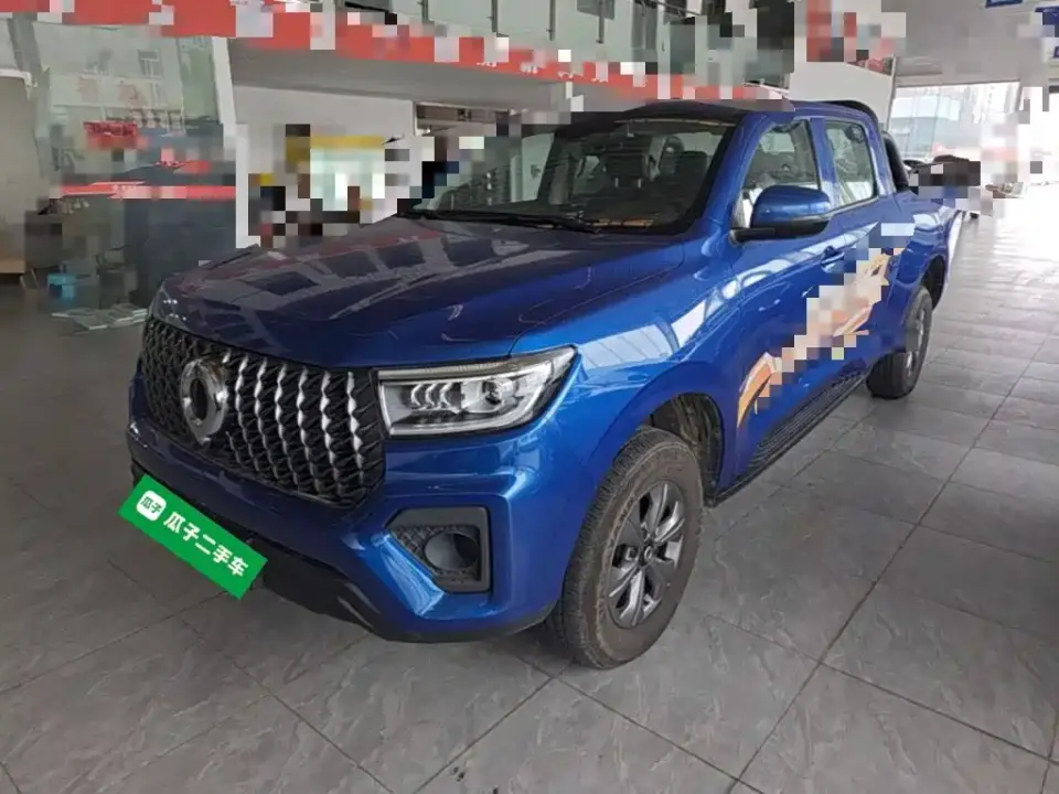 Great Wall Pao Model 2.4T Commercial Version Automatic Diesel 4WD Elite Type 2024