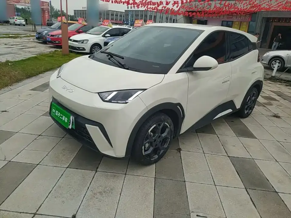 BYD Seagull 305km Freedom 2025