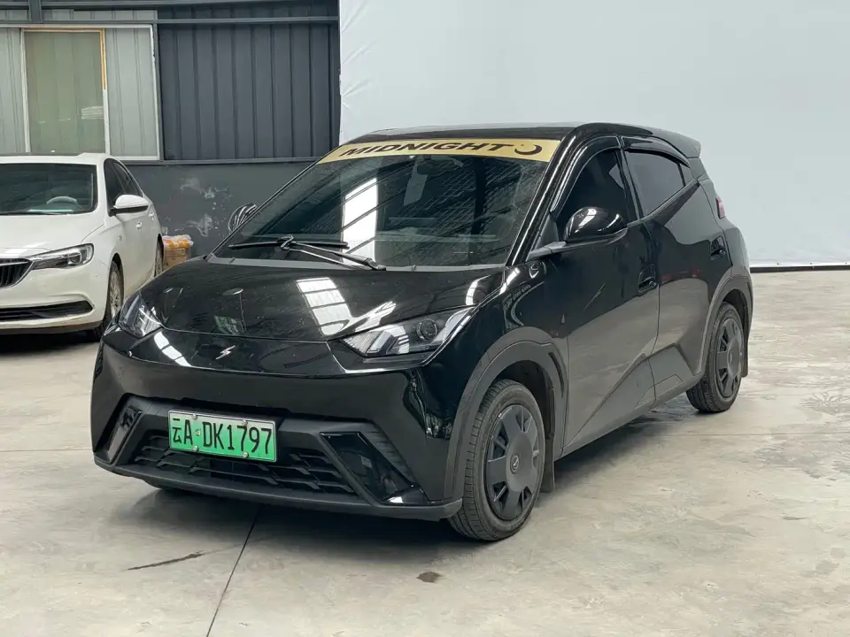 BYD Seagull Glory Edition 305km Vitality Edition 2024