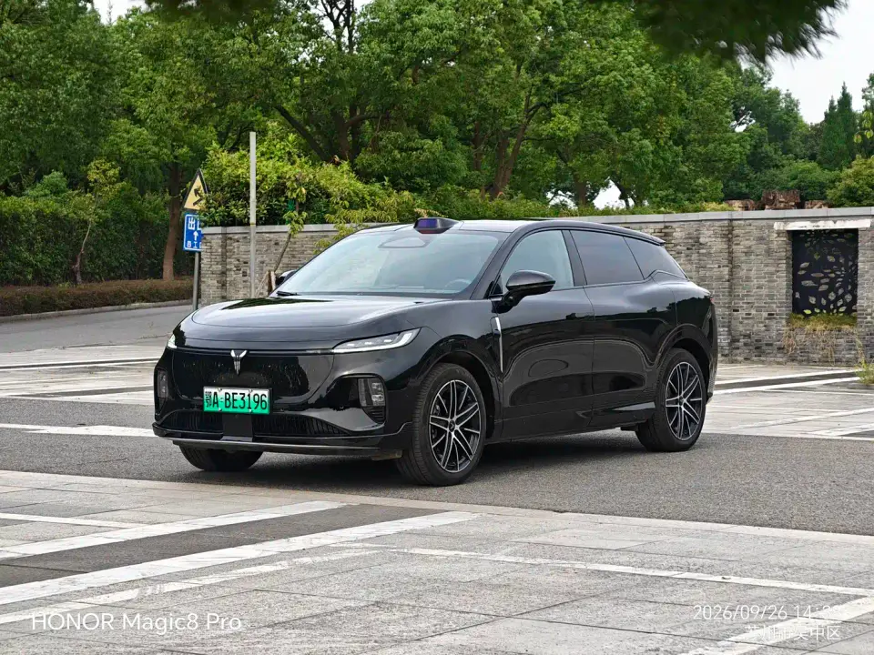 Voyah Auto Voyah Zhiyin Base 2025